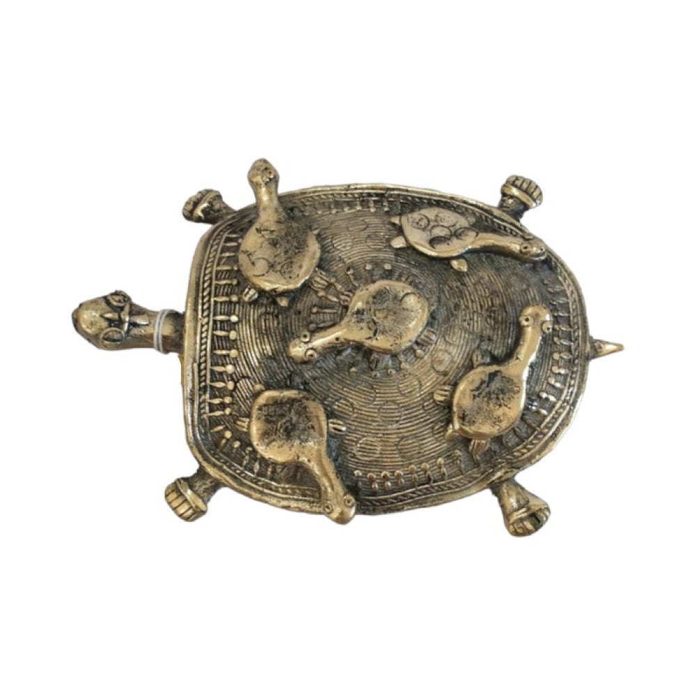 Big Tortoise with baby tortoise on its shell