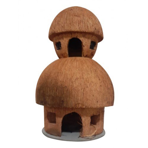 Two flor House Coconut Shell Craft