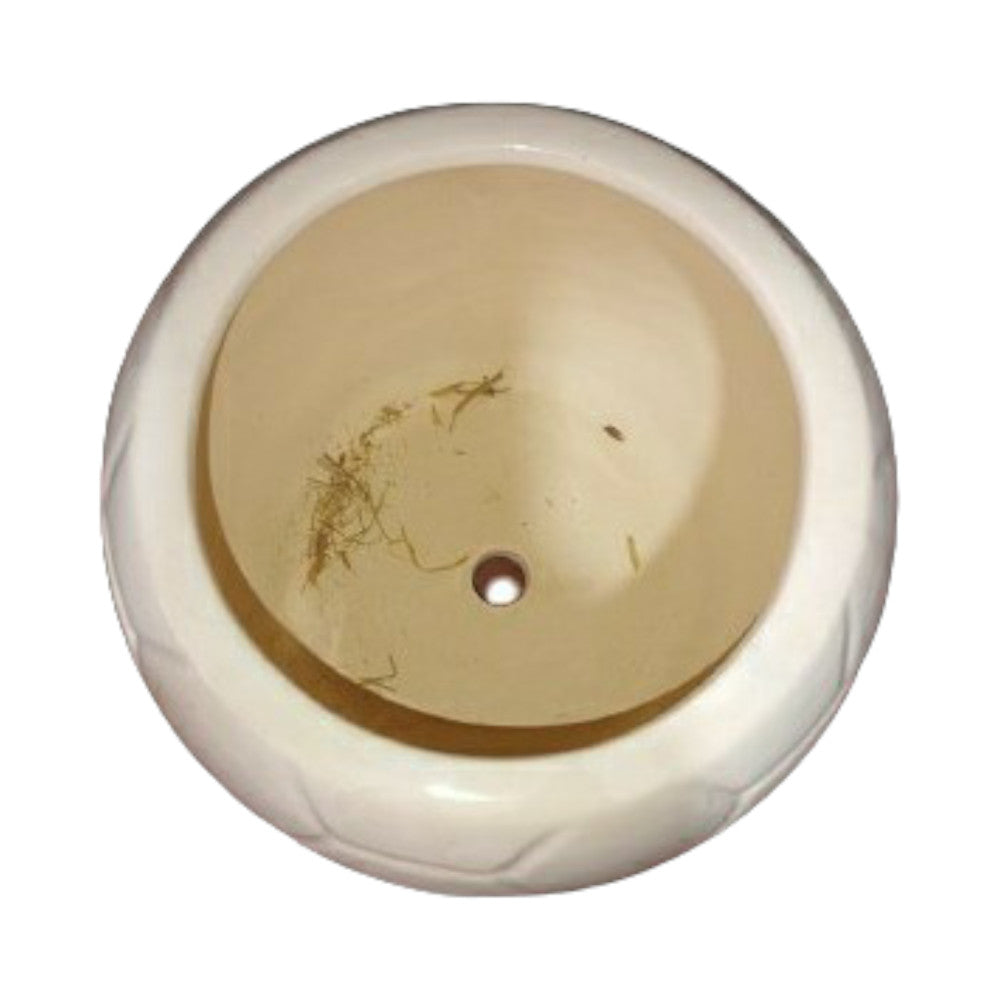 Ceramic Planter in Cream Colour