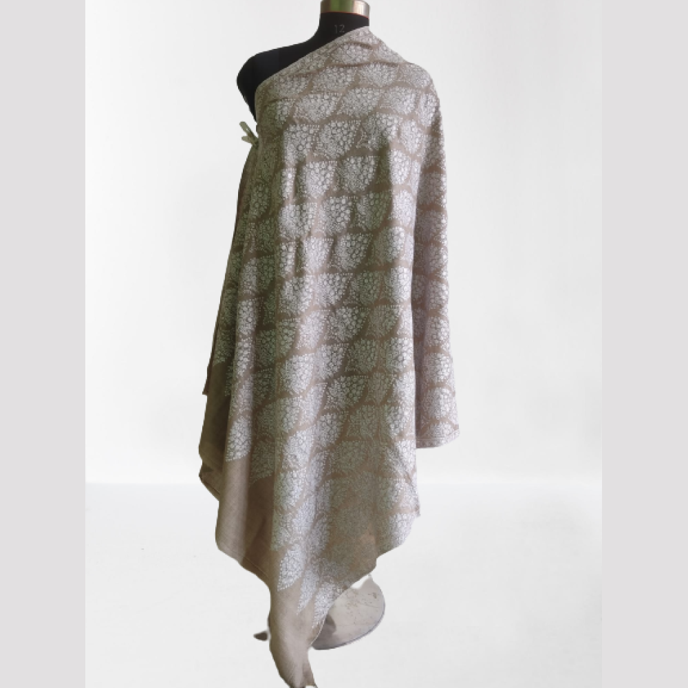 Classy White & Beige Kani Shawl