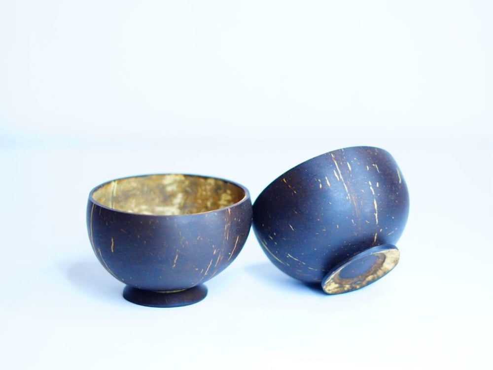 Coconut shell Ice cream Bowl