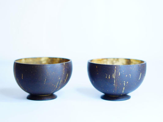 Coconut shell Ice cream Bowl