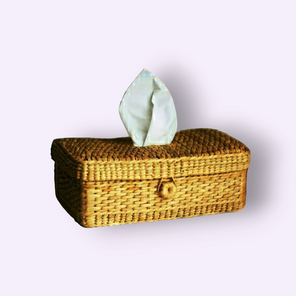 EcoFriendly Tissue Holder