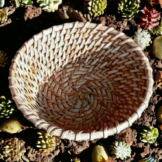 EcoFriendly Tokri-Basket Style 4