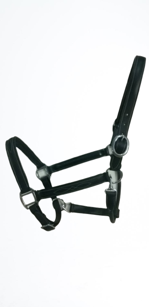 Horse Bridle Kanpur Saddlery