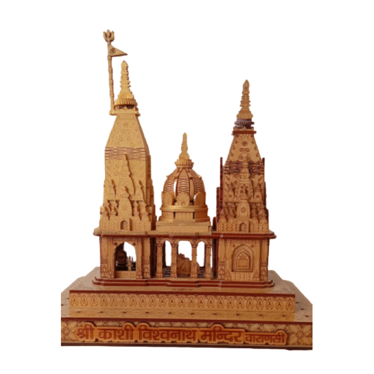 Kashi Vishwanth Temple With light