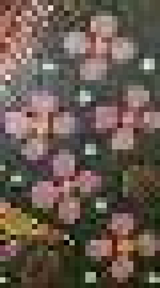 Traditional Madhubani Painting of an Orange and Black Fish on Khadi Paper